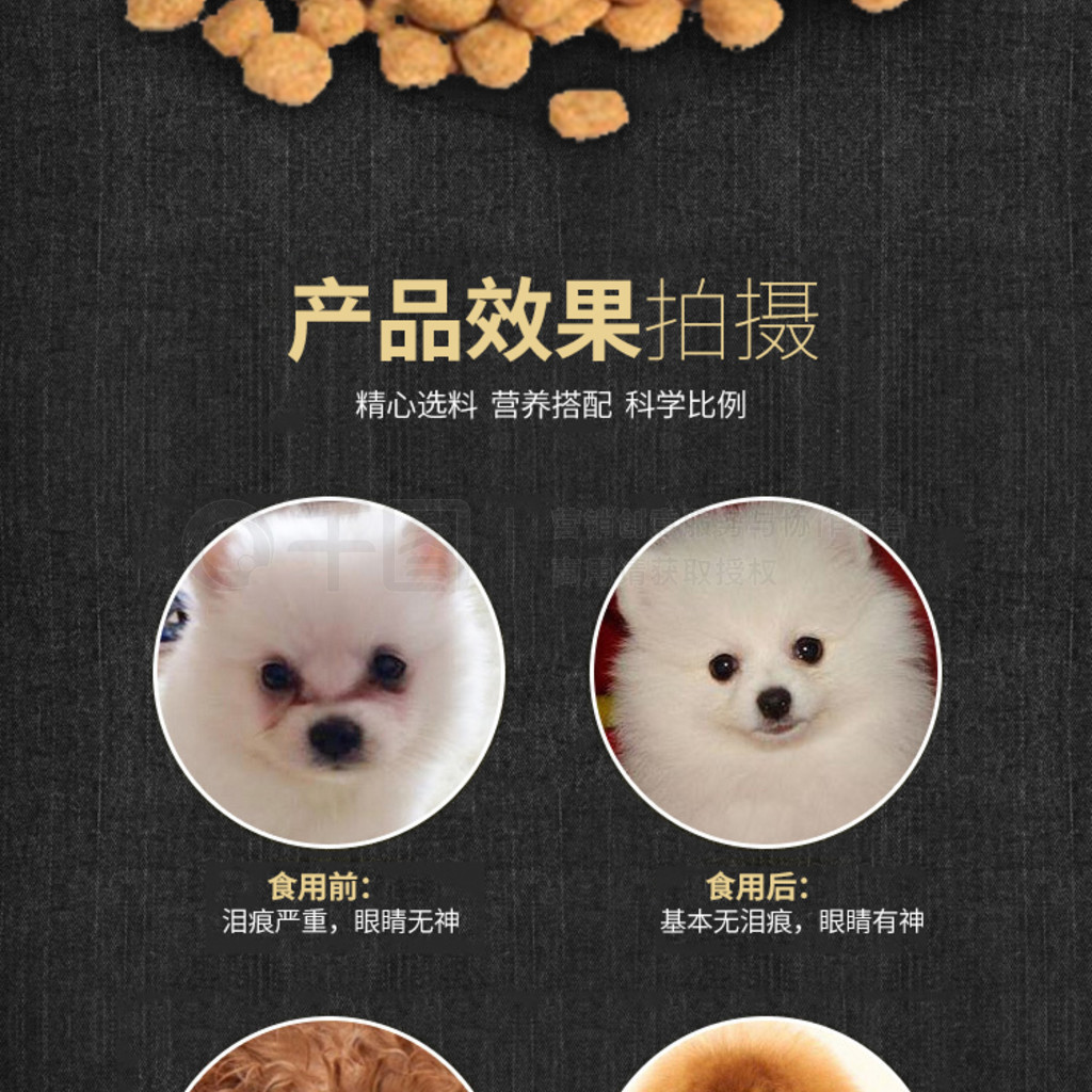 中大形寵物福音 營養滿分的大顆粒狗糧貓糧詳解