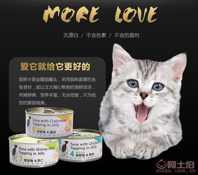 寵愛升級 嘗嘗路斯貓咪罐頭的至鮮滋味